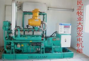 Biogas Generator Set